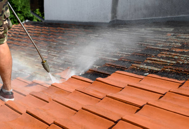 Best Pressure Washing Siding  in Elwood, UT